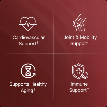 Organic Tart Cherry Extract Capsules